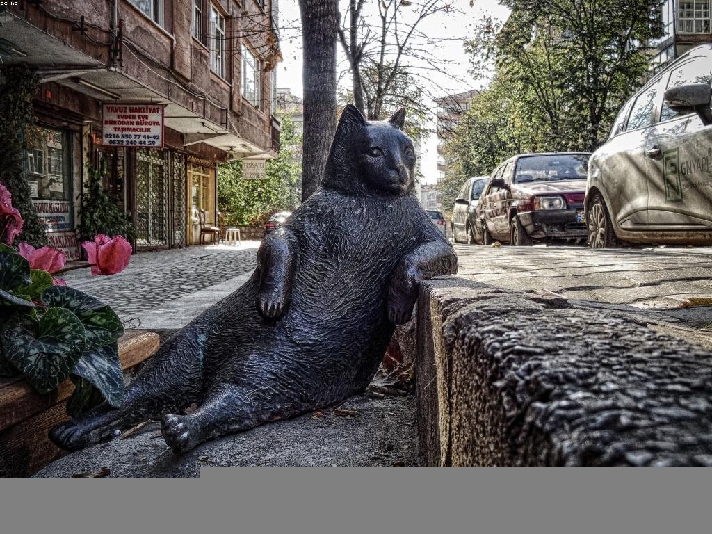 អត្ថប្រយោជន៍នៃការផ្តល់រង្វាន់