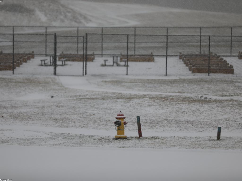 អត្ថប្រយោជន៍នៃហ្គេមដែលមានរង្វាន់